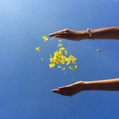 欧宝娱乐APP官方下载