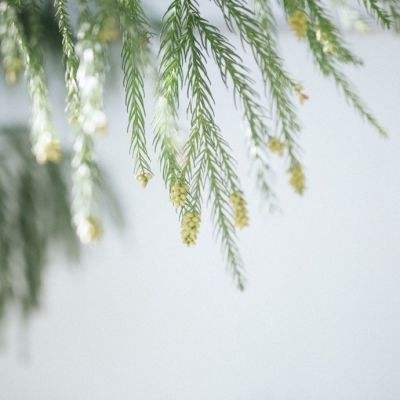 Bsports网页版登录