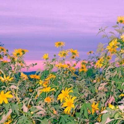 b体育手机版官网最新版本下载