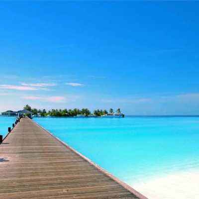 澳门2023全年免费资料大全手机app下载