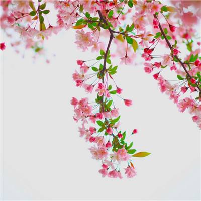 快3官网手机版下载