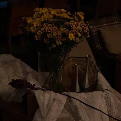 BET体育365投注官网手机app下载